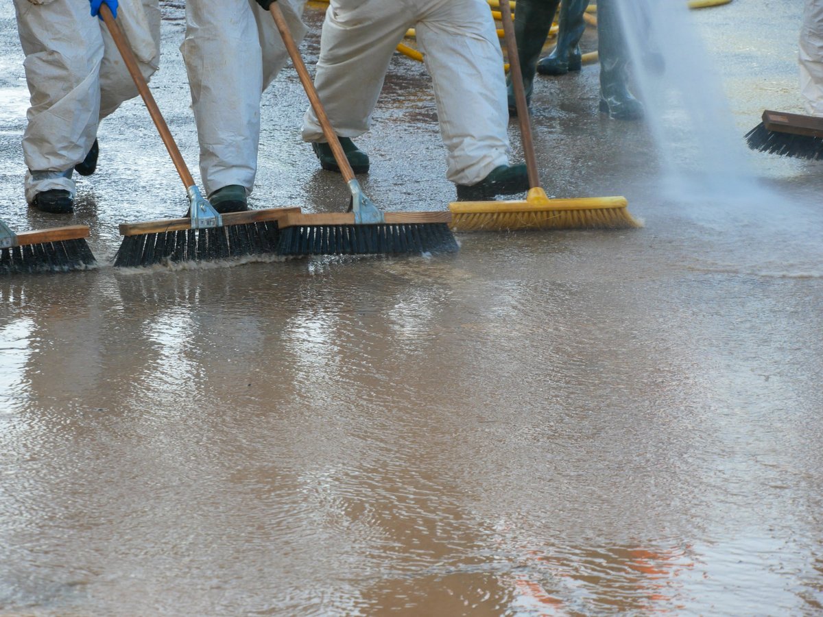 Volunteers removing mud and debris during disaster cleanup operations